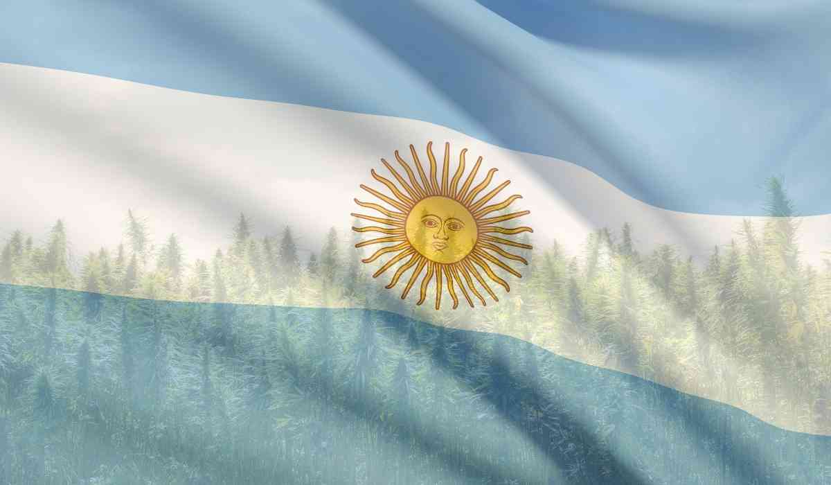 מדקליזציה בארגנטינה